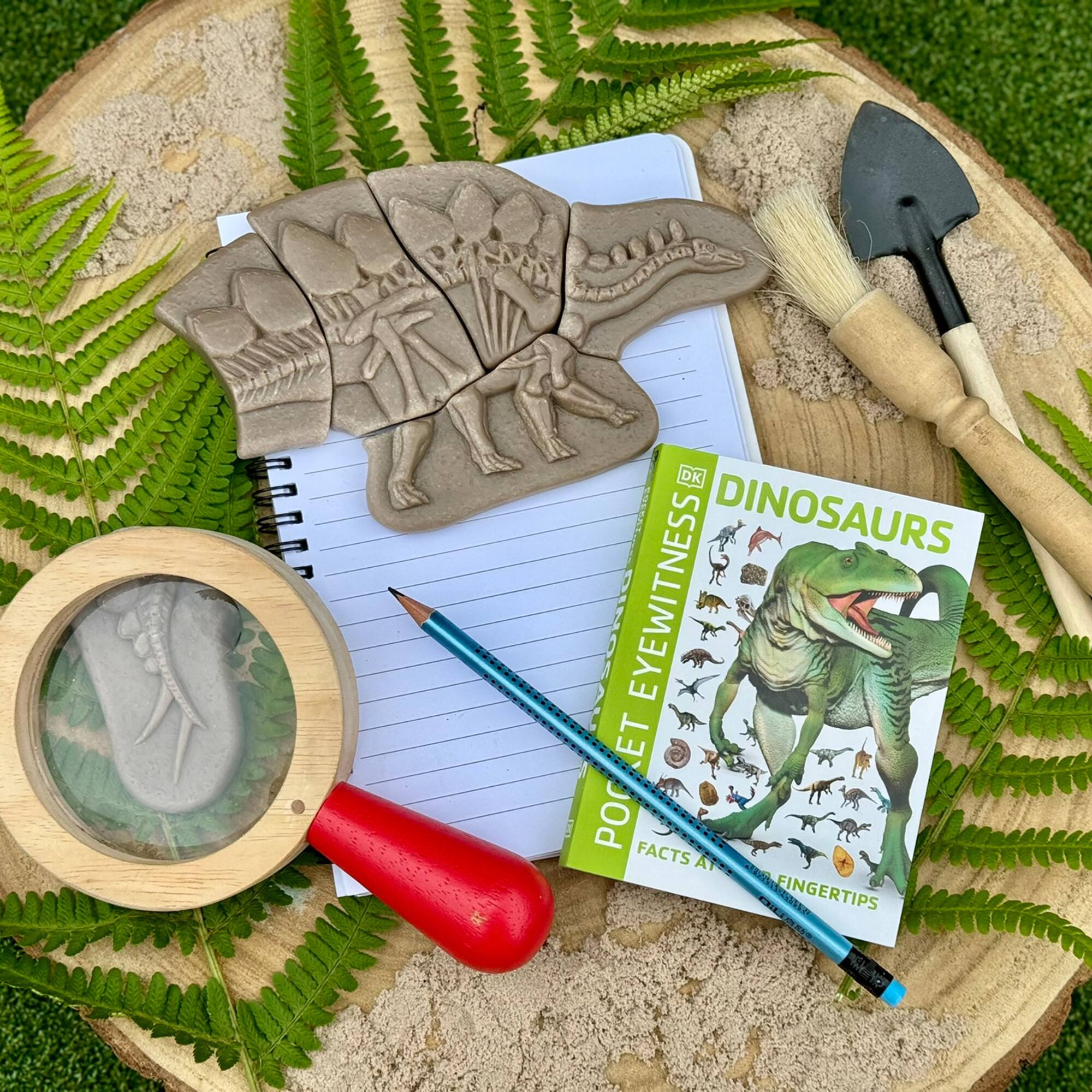 Yellow Door Dig & Discover Pliosaur & Stegosaurus Dinosaur Skeletons Set